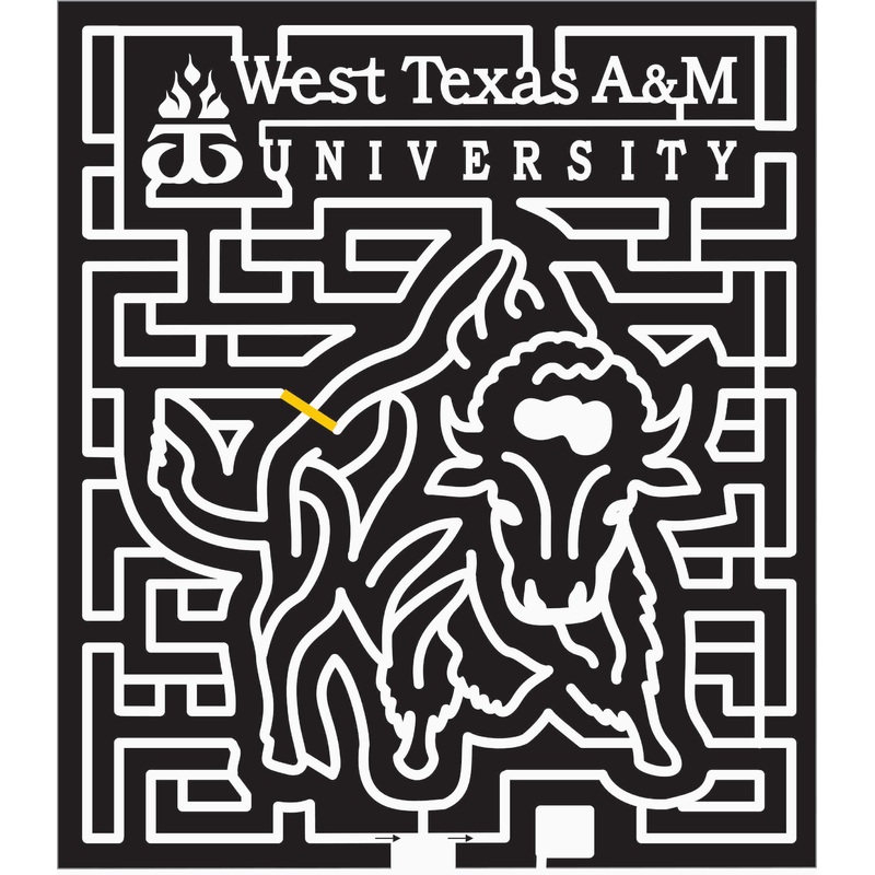 07_TX_Amarillo Texas, bison, Animal, buffalo, west texas, university, a&m, .jpg