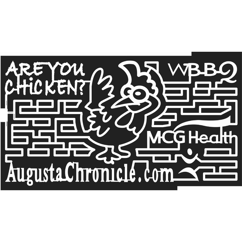 08_GA_Louisville Georgia, Chicken, Animal, Bird, mcg health, 2008.jpg