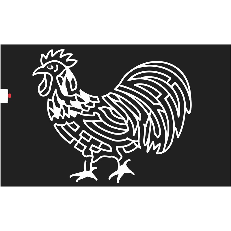08_IN_Brookville Indiana, Rooster, Chicken, Animal, 2008.jpg