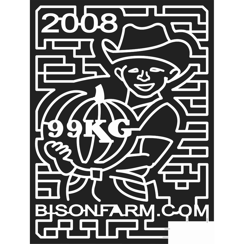 08_KS_Assaria Kansas, Pumpkin, Boy, Hat, Cowboy, face, 99kg, 2008.jpg