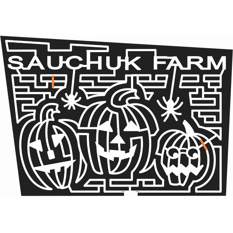 08_MA_Plympton Massachusetts, Pumpkin, jack o’lantern, Spider, 2008.jpg