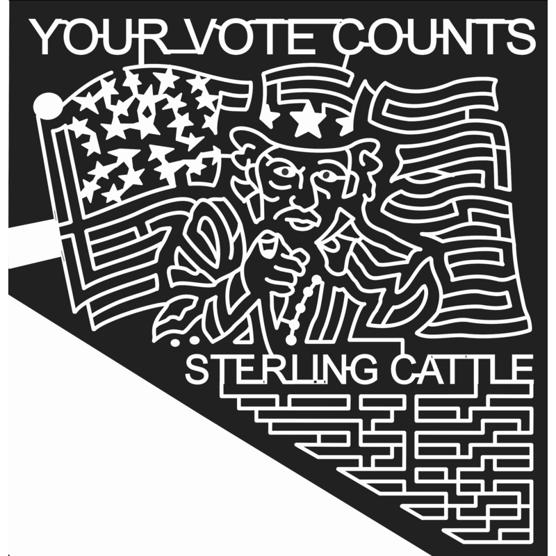 08_MT_Wolf_Creek Montana, Flag, American, United States, vote, politics, patriotic, 2008.jpg