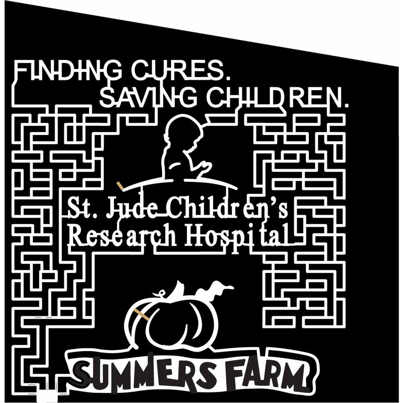 09_MD_Fredrick Maryland, Pumpkin, Child, Kid, Children, st. jude’s hospital, charity, logo, sponsor, paths, 2009