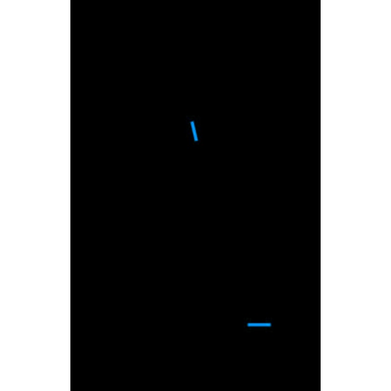 09_OR_PortlandB Oregon, Portland, Basketball, logo, trailblazers, nba, 2009