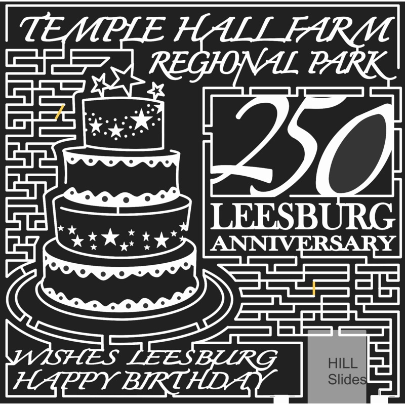 08_VA_Leesburg Virginia, Birthday, Cake, star, Happy Birthday, 250, 2008, icing.jpg