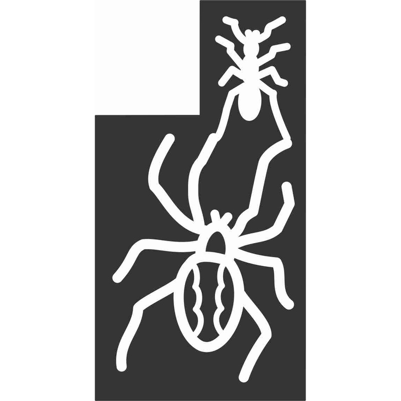 10_CA_Bakersfield D California, Spider, insect, 2010