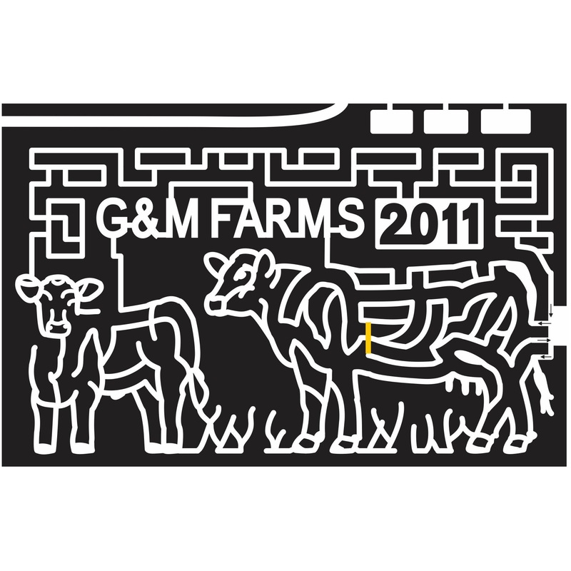 11_CA_Livermore Cow, Grass, cattle, Animal, California, 2011, g&m.jpg