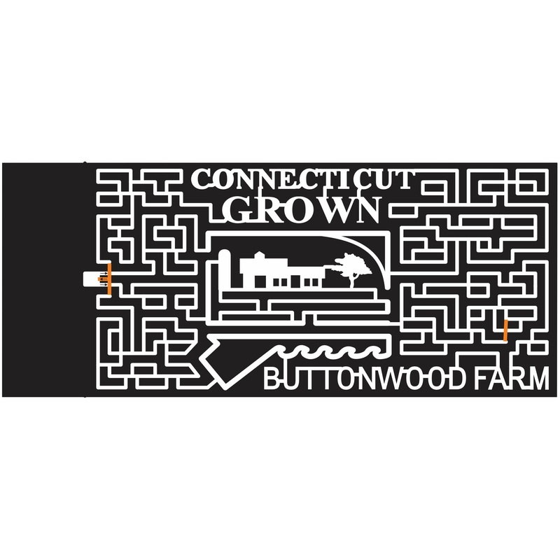 11_CT_Griswold Connecticut, farm, Barn, grown, buttonwood, 2011, paths.jpg