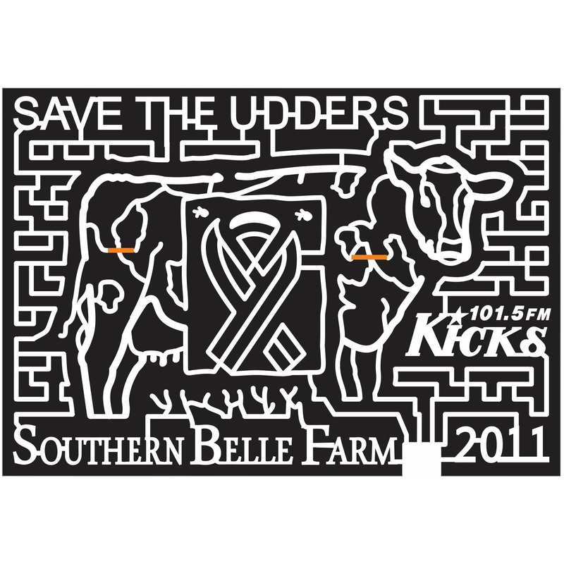 11_GA_McDonough Georgia, Cow, Ribbon, Animal, sponsor, Radio, logo, southern, belle, 2011, kicks.jpg