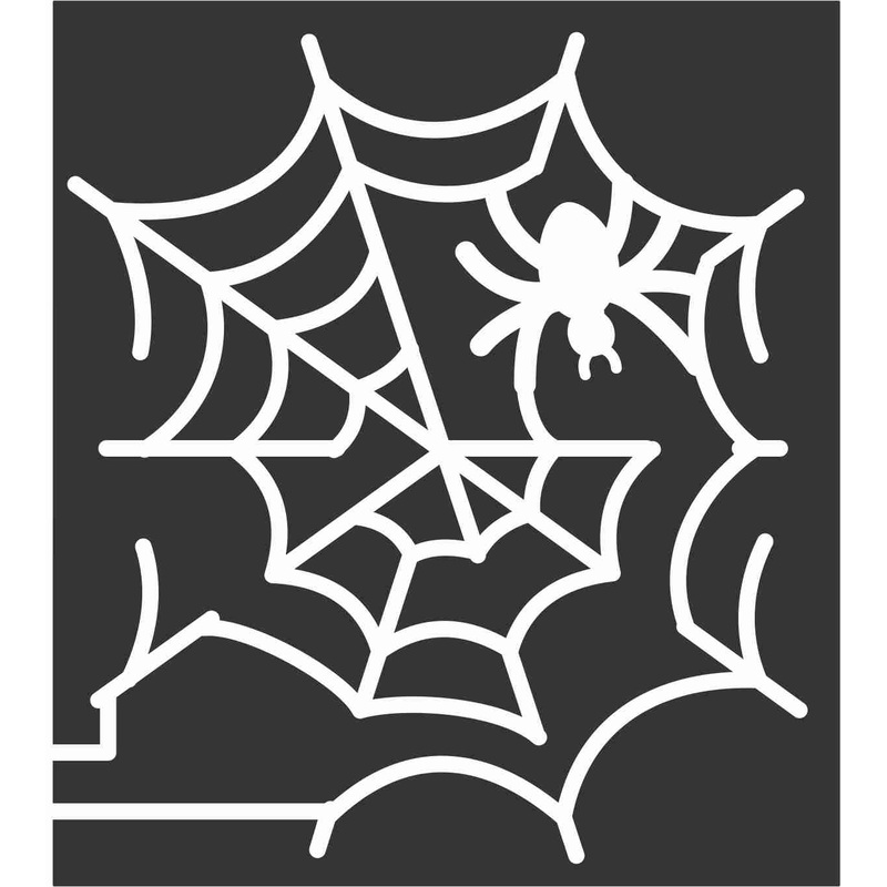 10_MS_Canton B 2010, Spider, web, spiderweb, insect, Mississippi