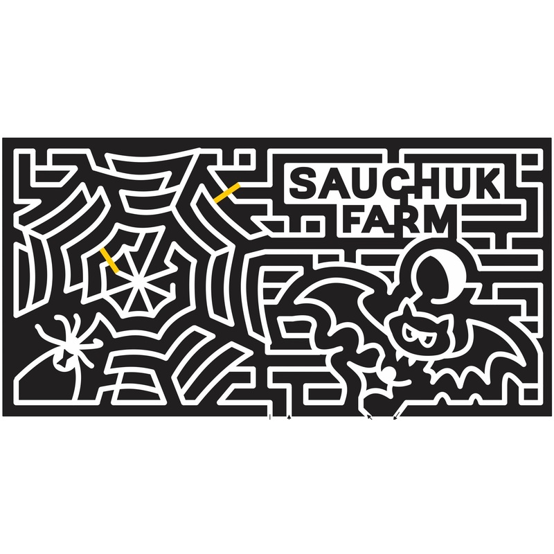 11_MA_Plympton Massachusetts, spiderweb, Spider, bat, web, 2011, sauchuk, Halloween.jpg