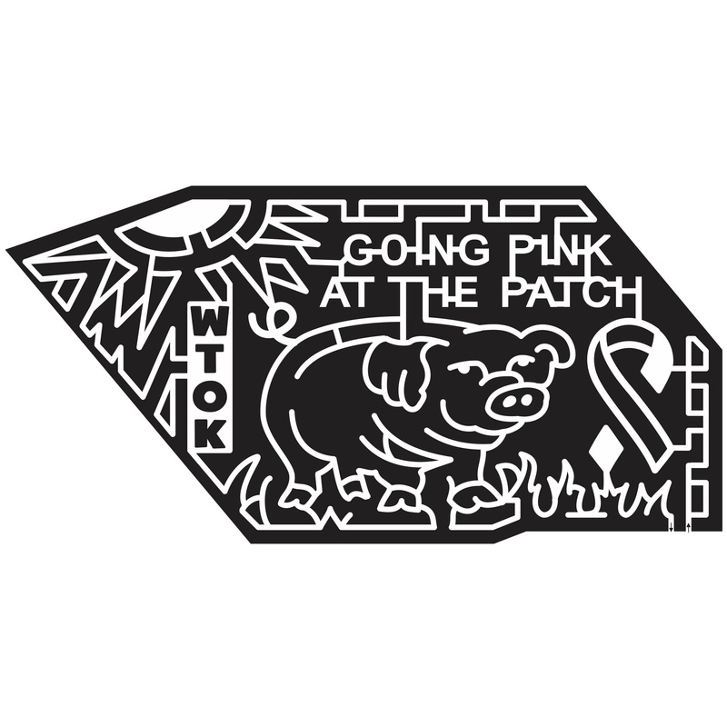 11_MS_Chunky Mississippi, Pig, Hog, Ribbon, Grass, Sun, charity, pink, sponsor, 2011, wtok.jpg