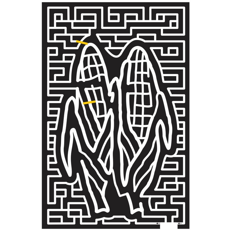 11_NY_Bridgehampton New York, Corn, Vegetable, cob, 2011.jpg