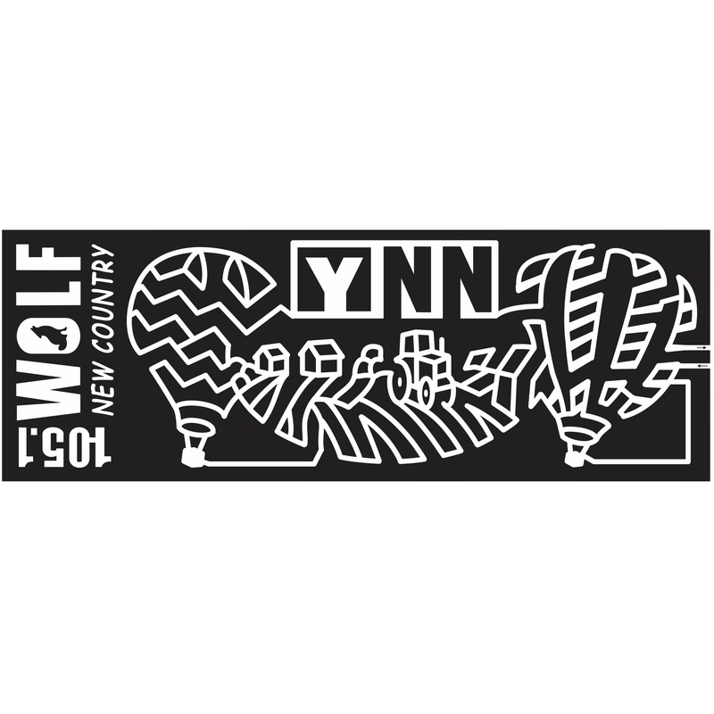 11_NY_Onieda New York, Balloon, hot air balloon, farm, Radio, logo, sponsor, charity, 2011, ynn.jpg