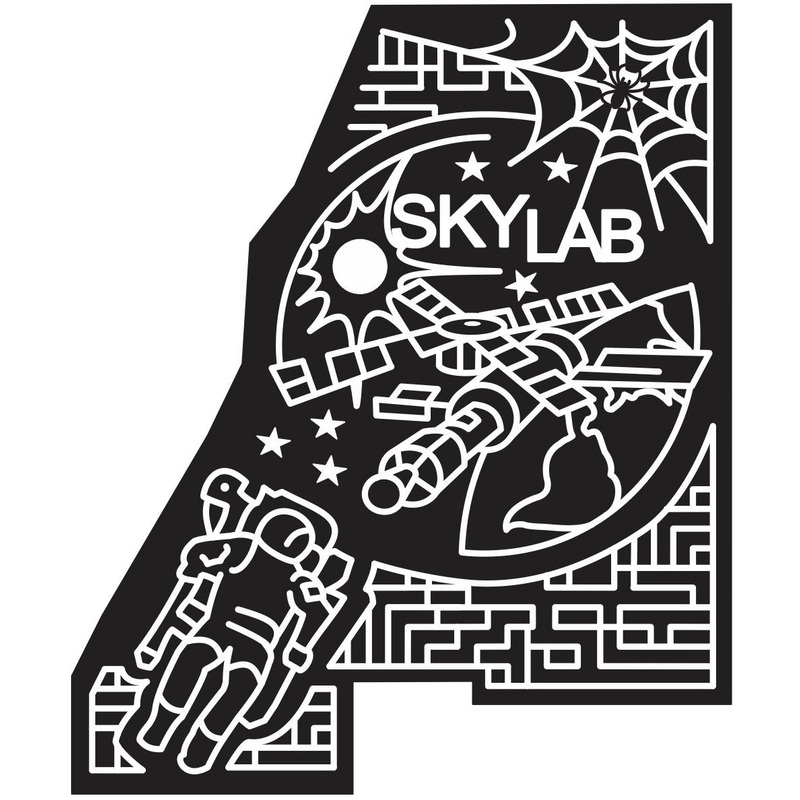 11_NY_Schaghticoke_1 New York, astronaut, Space, spiderweb, Spider, satellite, 2011, web, skylab.jpg