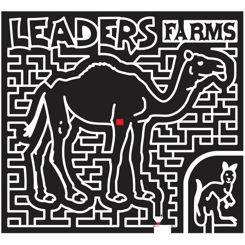 11_OH_Napoleon Ohio, camel, kangaroo, Animal, leaders, 2011.jpg