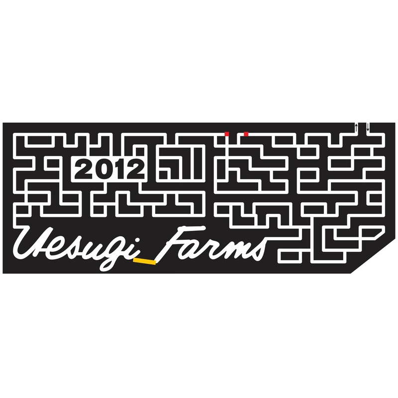 12_CA_Gilroy maze, California, paths, lines, straight, 2012, uesugi