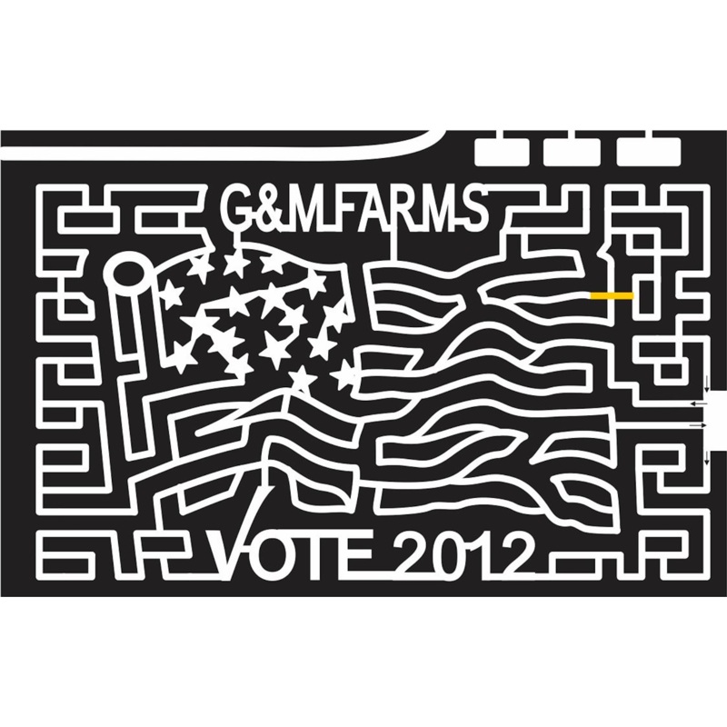 12_CA_Livermore California, Flag, America, wave, pole, vote, checkmark, Patriotic, 2012