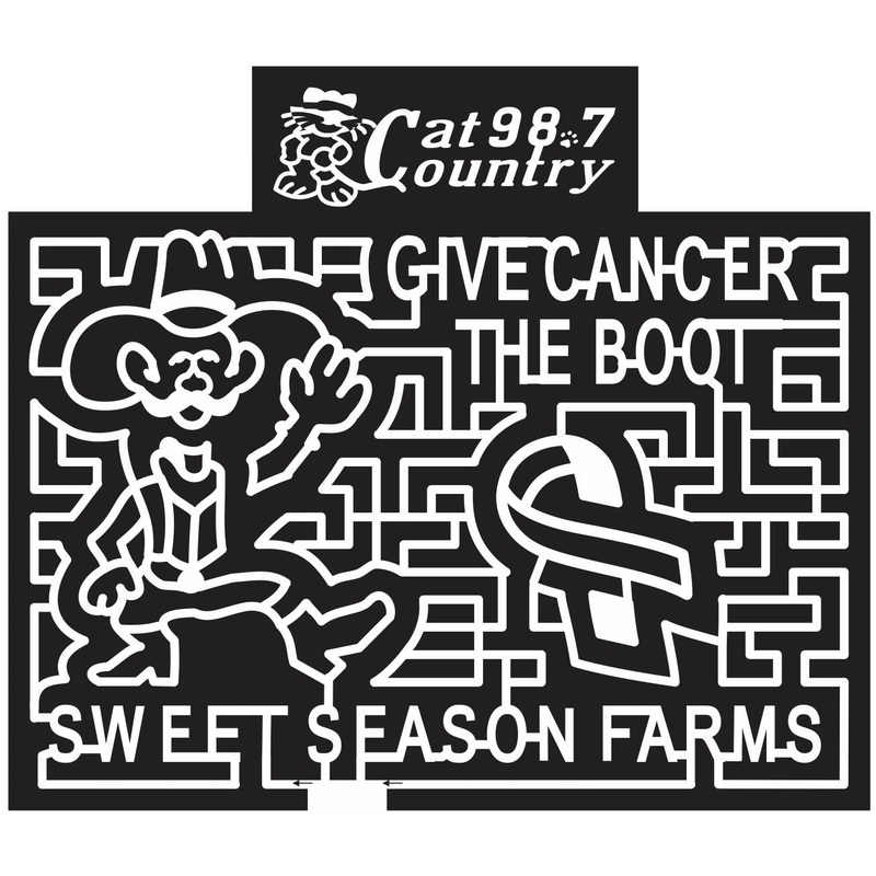 12_FL_Milton Florida, Ribbon, Cowboy, Hat, radio station, logo, sponsor, Radio, charity, cartoon, 2012