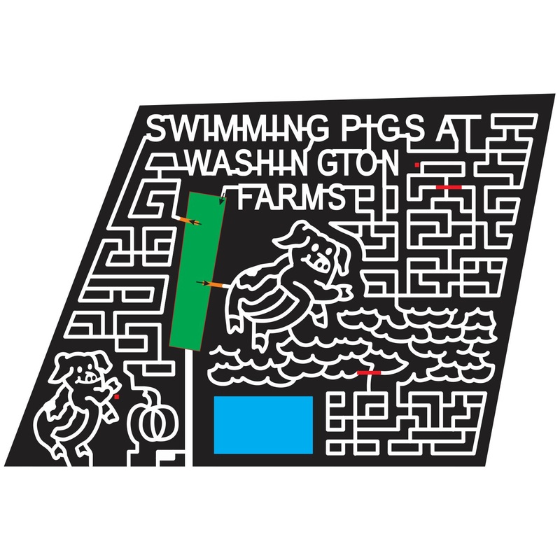 12_GA_Watkinsville Georgia, Pig, Hog, swim, swimming, swimmer, Water, Pigs, Animals, 2012