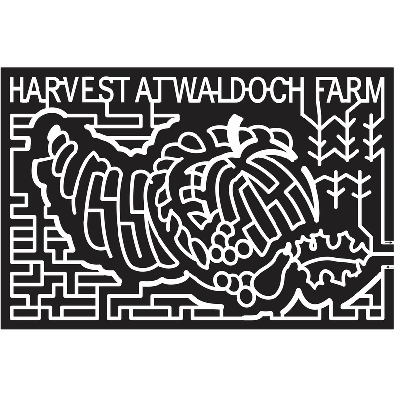 12_MN_Lino_Lakes Minnesota, cornucopia, Vegetable, Pumpkin, Leaf, Corn, Grape, Harvest, waldoch, farm, Stalk, fruit, 2012