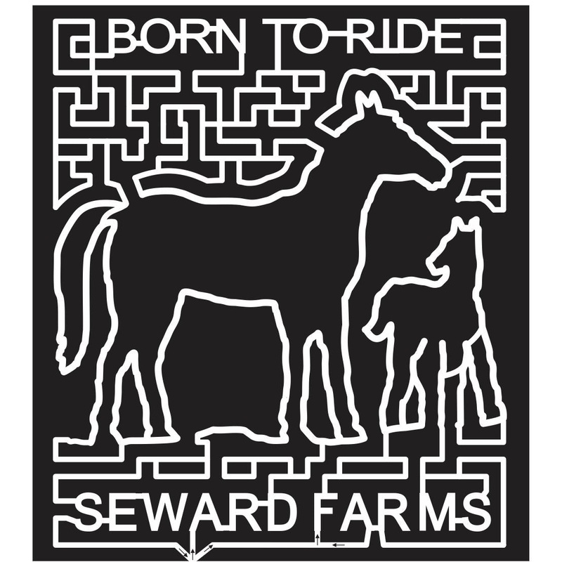 12_MS_Lucedale Mississippi, Horse, pony, Animal, seward, ride, 2012