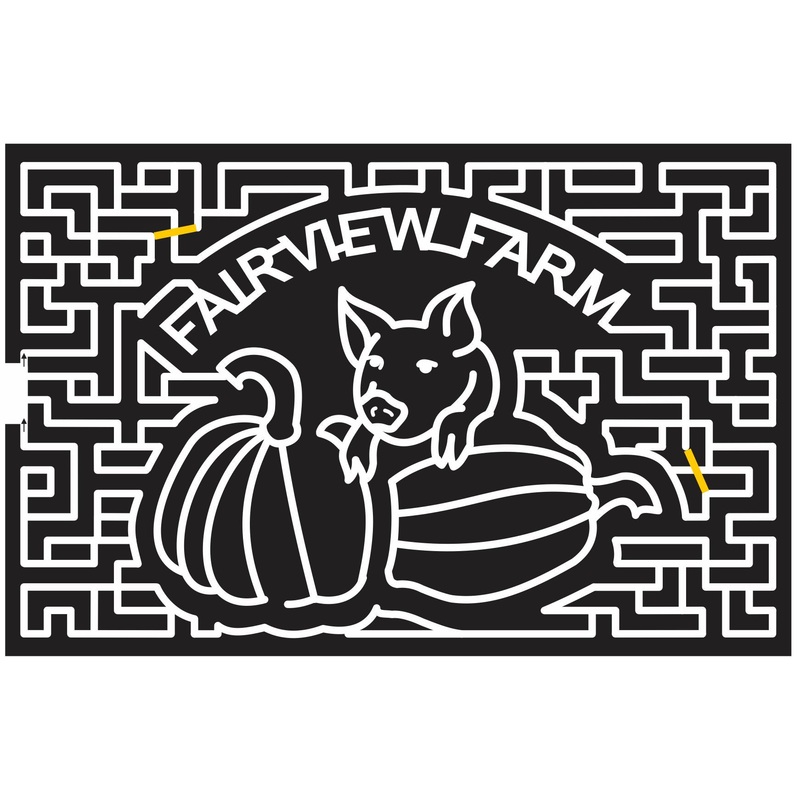 Bridgehampton New York NY 2013 Pumpkin, Pig, Hog, Animal, fairview, Pumpkins, Piglet.jpg