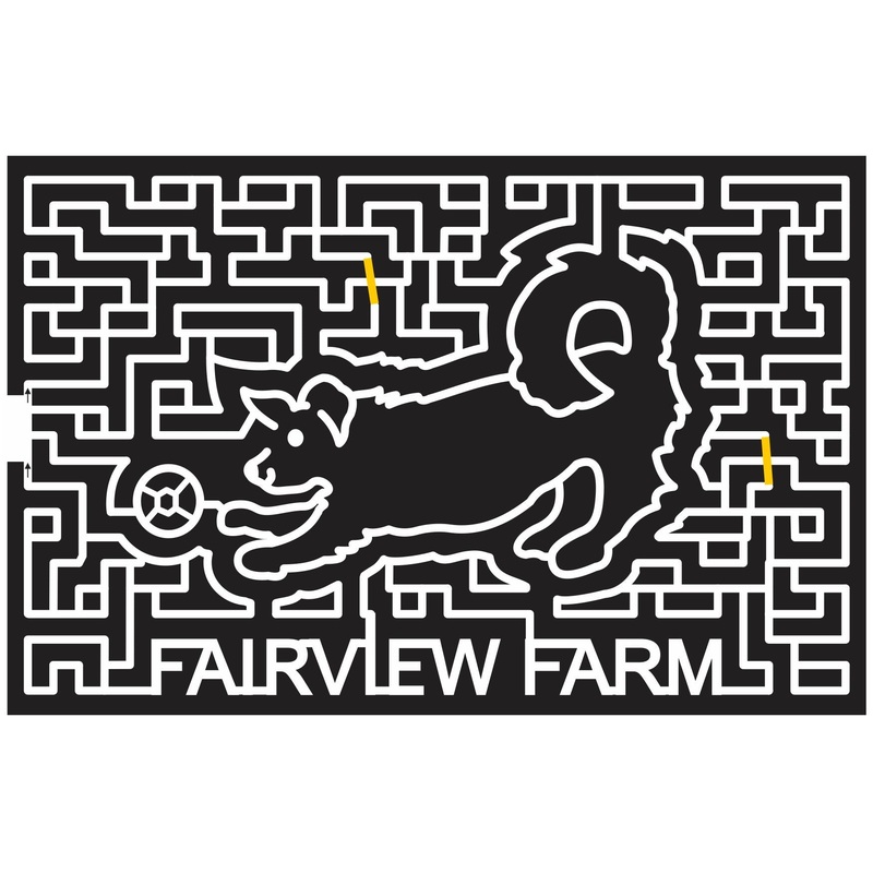 12_NY_Bridgehampton New York, Dog, Ball, Animal, play, 2012, fairview