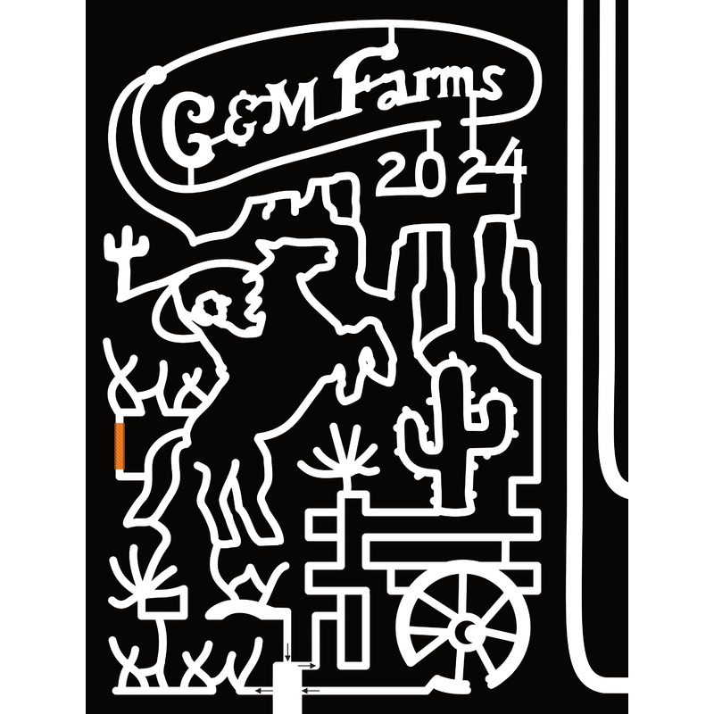 24_CA_Livermore 2024, G & M Farms, Cactus, Horse, Wheel, Desert, Lasso