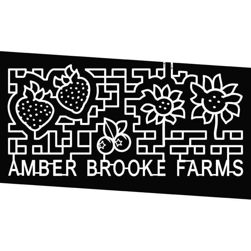 24_FL_Williston Amber Brooke Farms, Berry, Sunflower, Strawberry, Blueberry