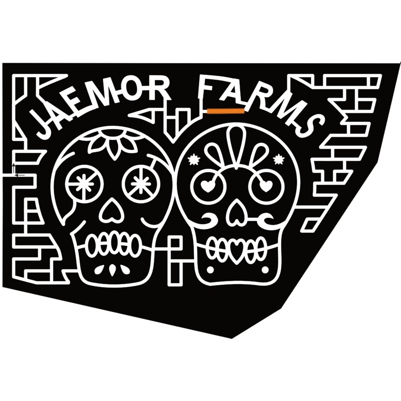 24_GA_Alto Jaemor Farms, Skull, Day of Dead, Sugar Skull