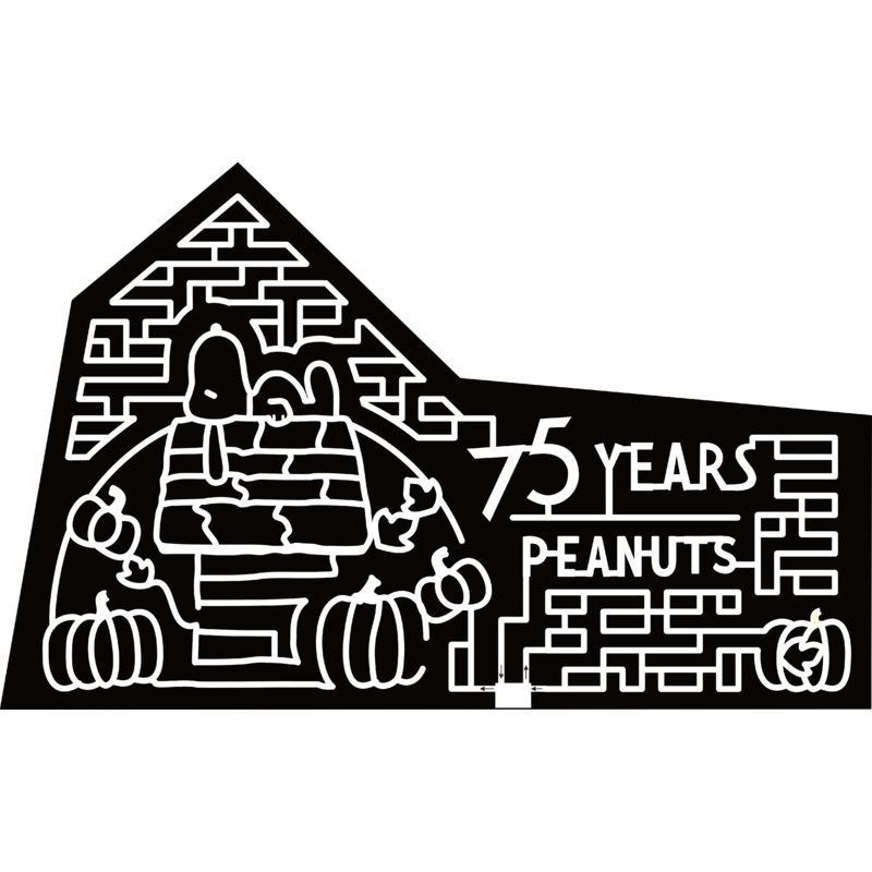 24_MD_Oakland Snoopy, Peanuts, 75 Years, Pumpkin