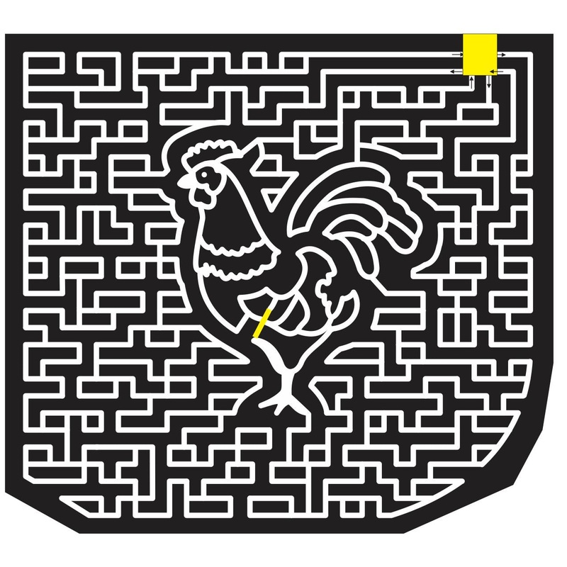 12_SC_Enoree South Carolina, Chicken, Bird, Animal, 2012, paths
