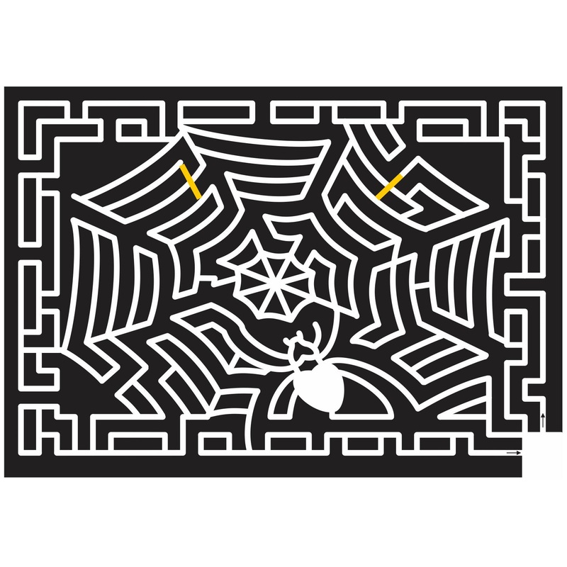 12_TN_Memphis Tennessee, spiderweb, Spider, web, Halloween, 2012