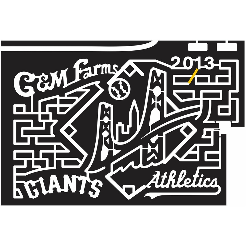 Livermore California CA 2013 Baseball, sport, diamond, Ball, Bridge, city, giants, athletics, Sports, structure, c&m farms.jpg