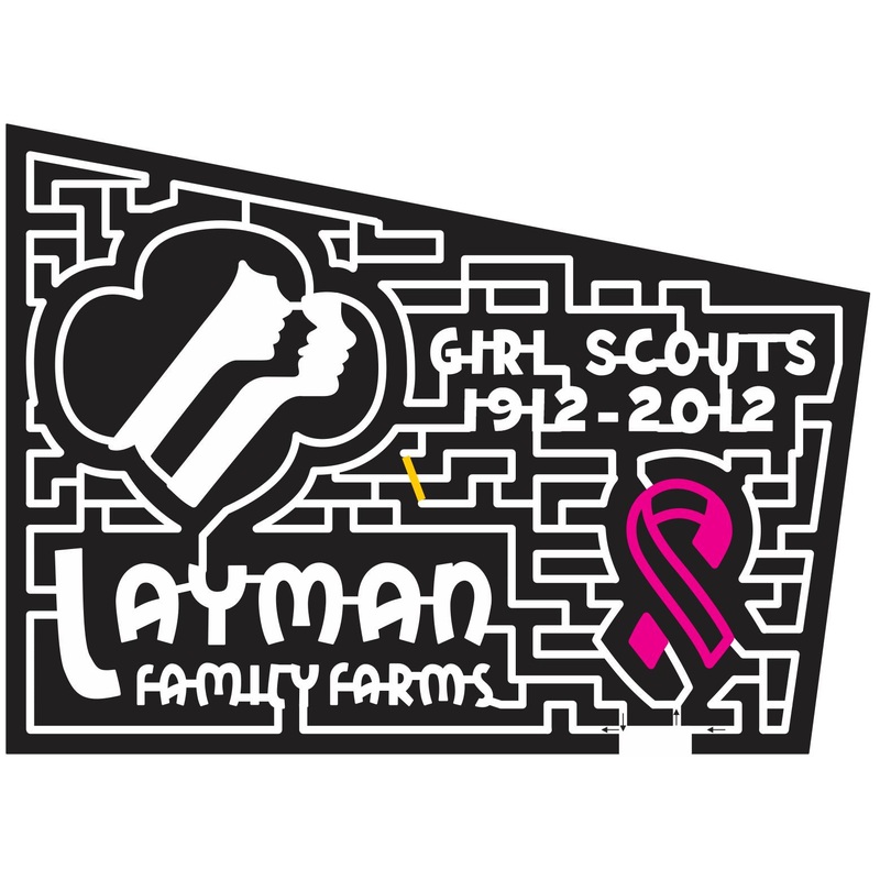 12_VA_Roanoke Virginia, girl scouts, Ribbon, organization, charity, sponsor, 2012, Layman, logo