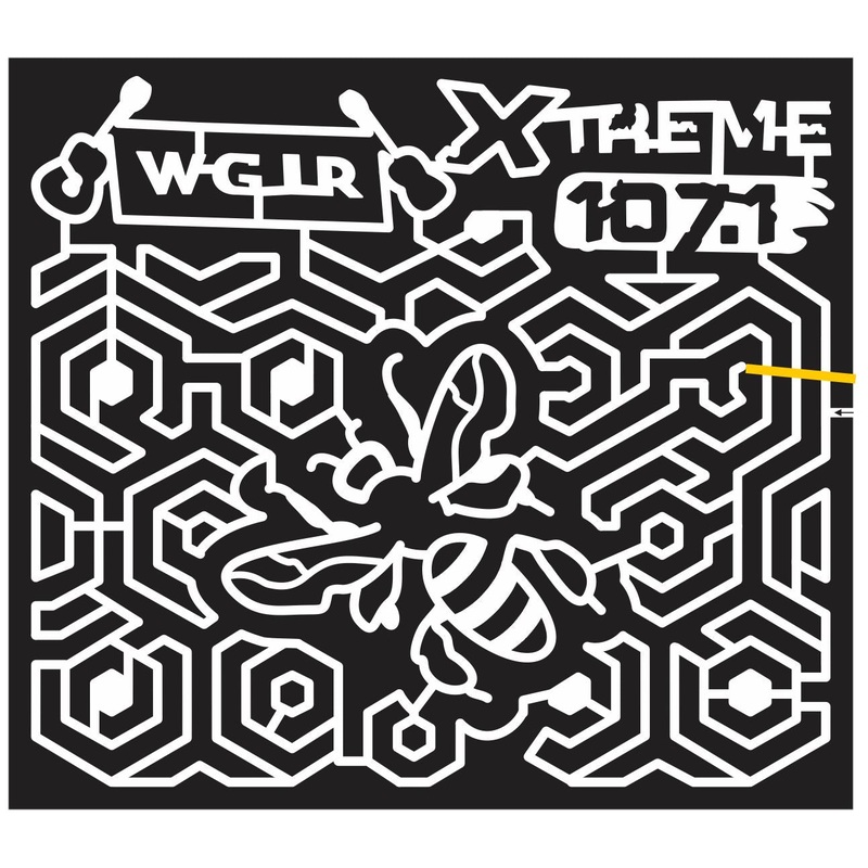 12_WI_Lancaster Wisconsin, beehive, Bee, Guitar, 2012, Hive, combs, wgir, xtreme