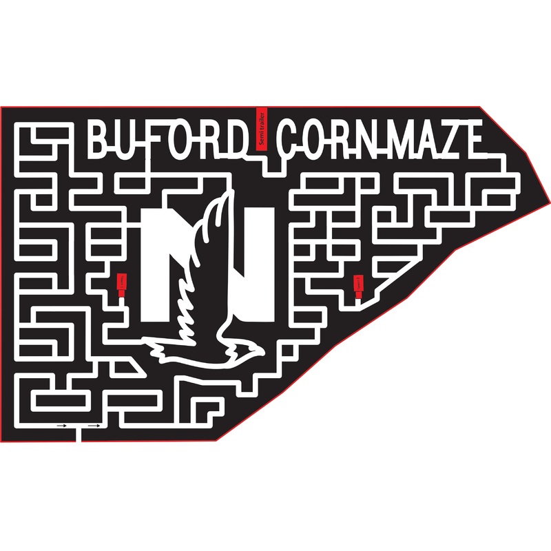 15_GA_ Buford, 2015, Georgia, Buford, Eagle, N, Nationwide, Buford, Cornmaze