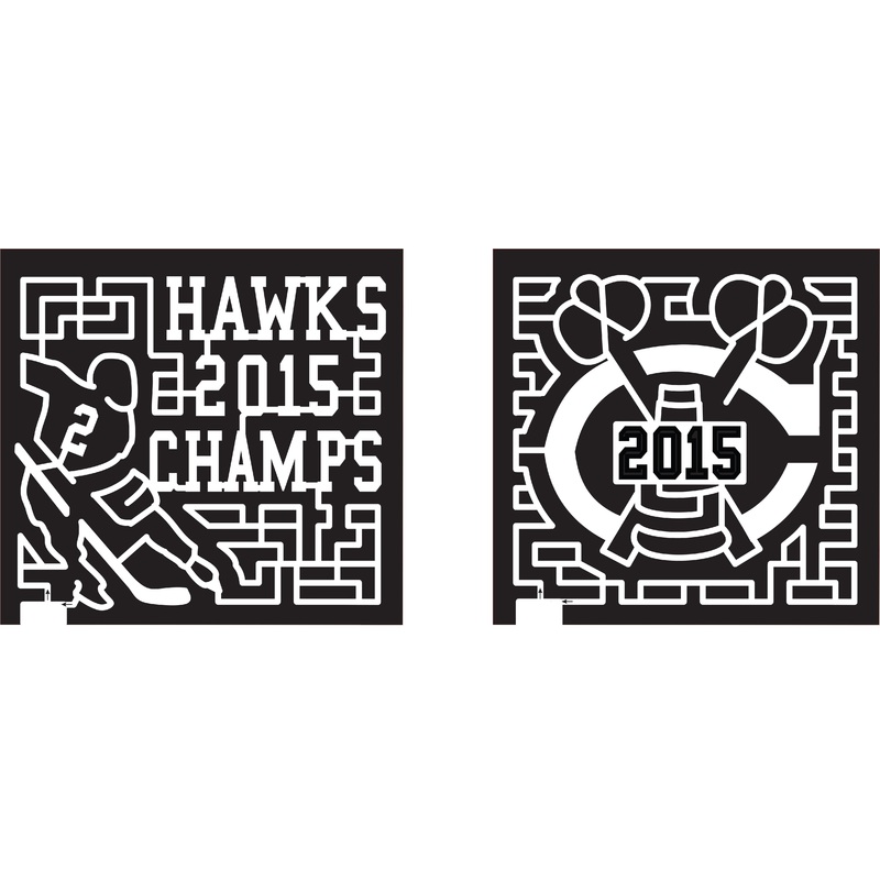 15_IN_Hobart 2, 2015, Indiana, Hobart, Hawks Champs, Hockey, Sports, Trophy, Champions, Champion, Blackhawks, Mascot, Athlete, Person