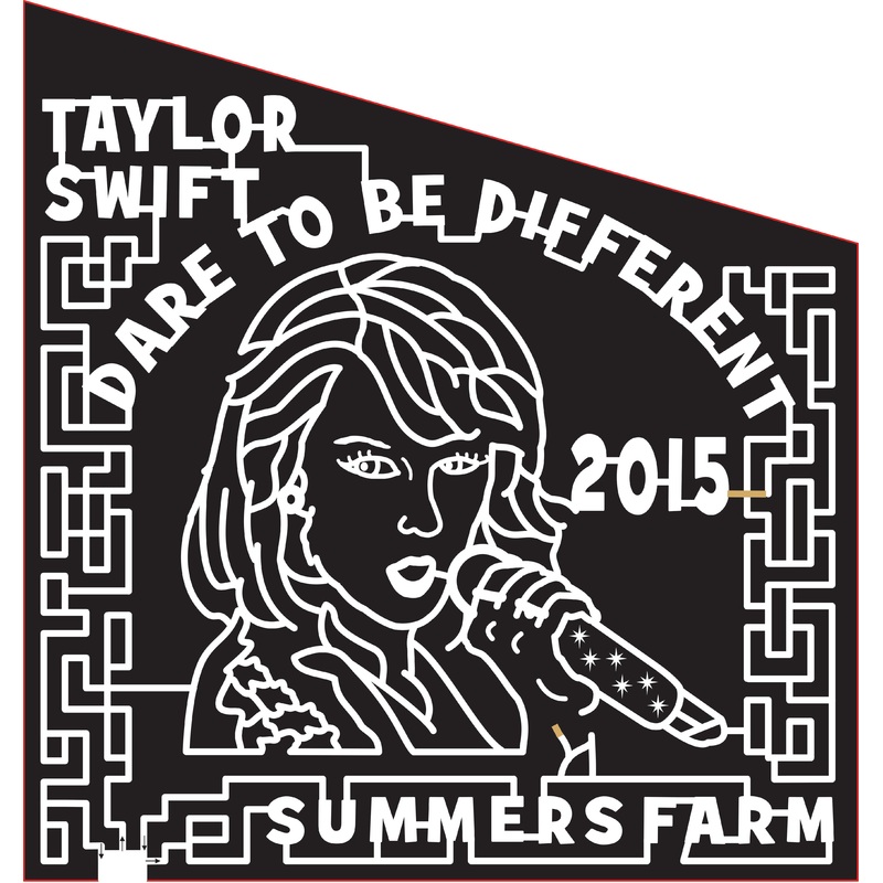 15_MD_Fredrick 16 2015, Maryland, Frederick, Taylor Swift, Dare to be different, Face, Singer, Woman, Famous, Summers farm, Microphone, Star, Stars, Earing, Ring, Celebrity, Face
