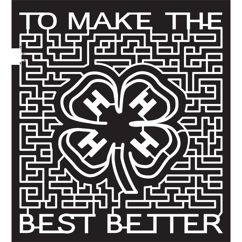 15_ME_Farmington 2015, Maine, Farmington, 4-H, 4h, Clover, To make the best better, Paths,