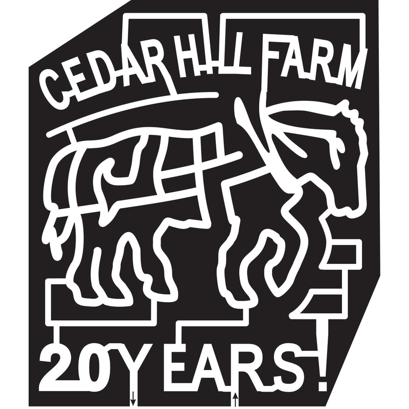 15_MS_Hernando, 2015, Mississippi, Hernando, Cedar Hill Farm, 20 Years, Horse, Animal, Horse pull, harness