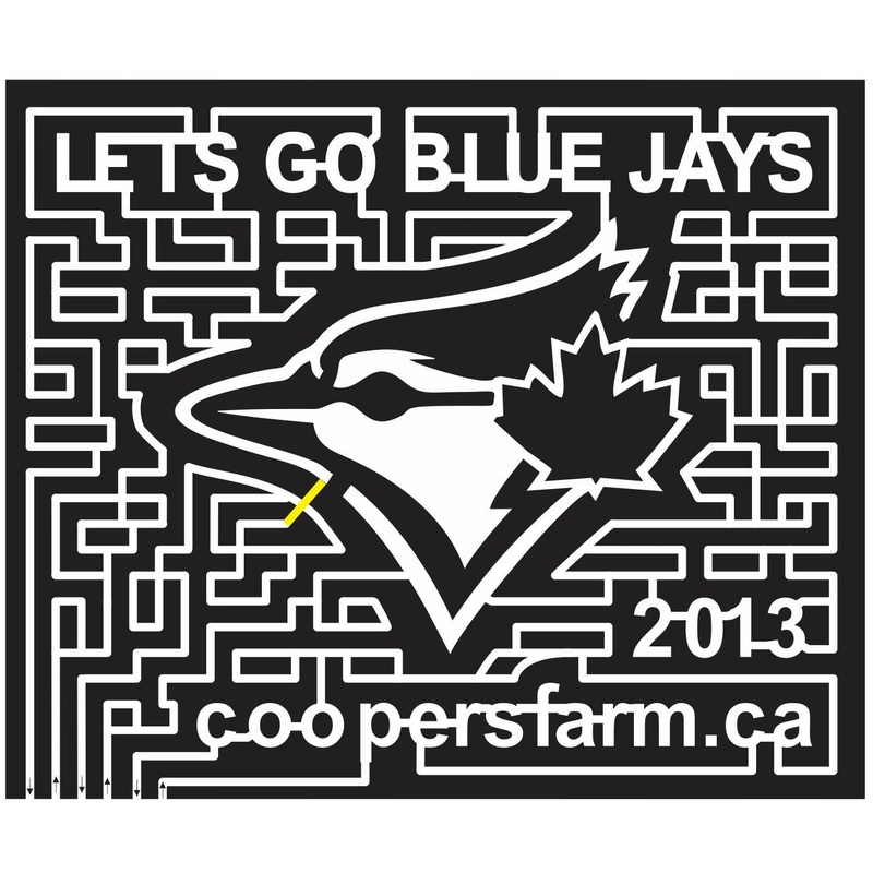 Zephyr Ontario ONT 2013 Canada, Bird, logo, Maple, Leaf, blue jay, 2013, Sports, sponsor, coopers.jpg