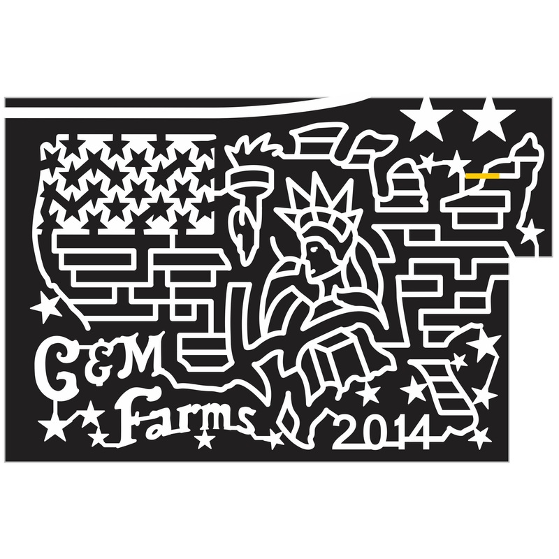 14_CA_Livermore 2014 California patriotic statue liberty flame torch star flag american usa shape country.JPG