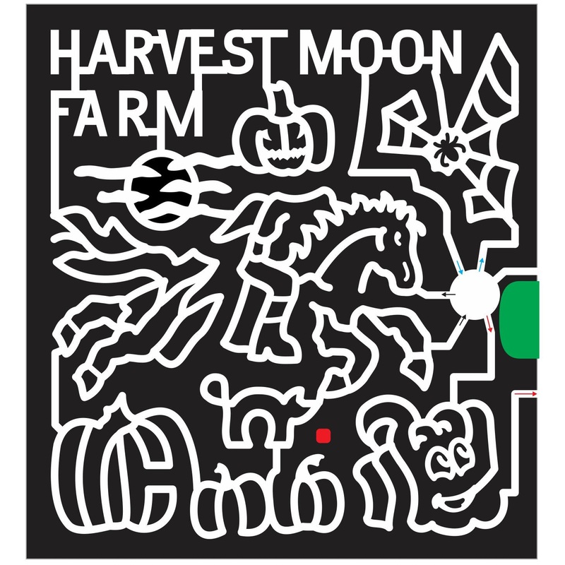 14_FL_Masaryktown 2014 Florida moon clouds spider web headless horseman horse pumpkin carved cat jack o lantern spookley halloween.JPG