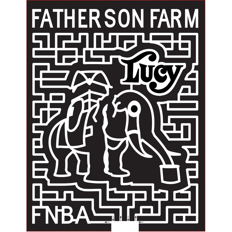15_NJ_Egg Harbor 2015, New Jersey, Egg Harbor City, Fatherson Farm, Lucy, FNBA, Elephant, Animal, Carriage, Logo