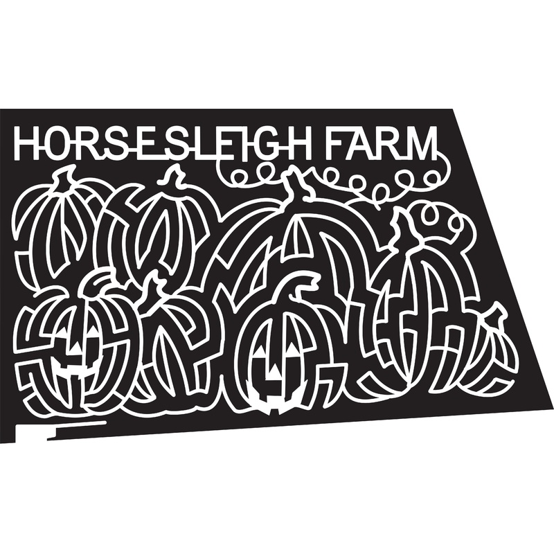 15_NJ_Washington 2015, New Jersey, Washington, Pumpkin, Pumpkins, Jack-O-Latern, Vines, Vine, Horse Sleigh Farm