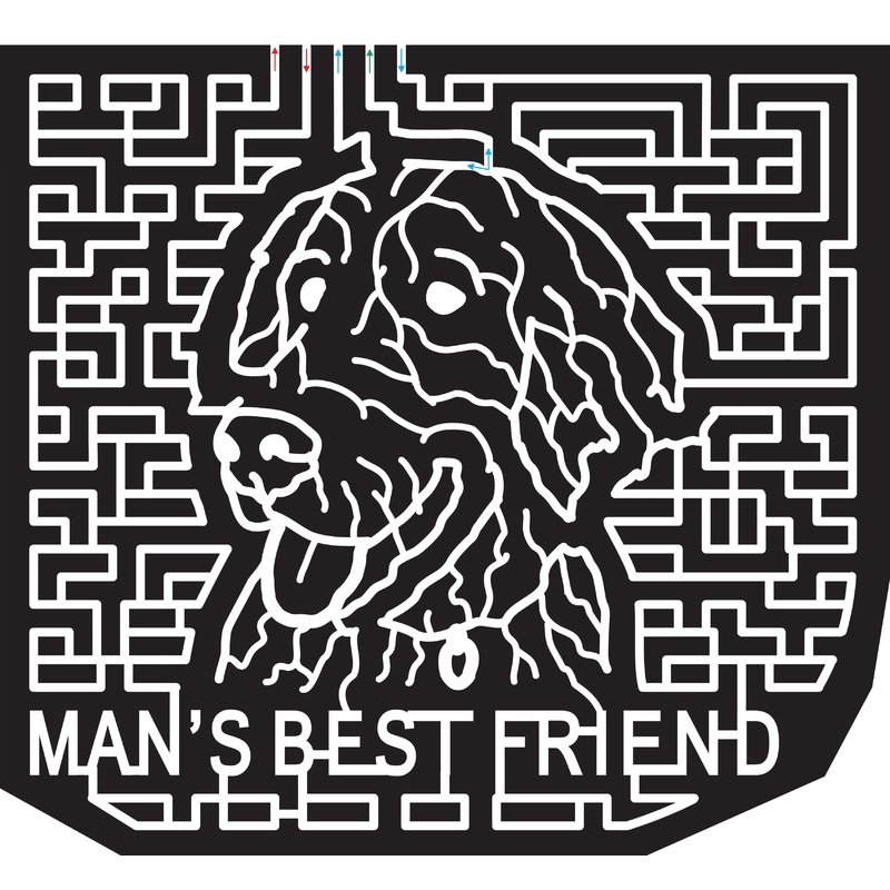 15_SC_Enoree 2015, South Carolina, Enoree, Dog, Mans Best Friend, Animal