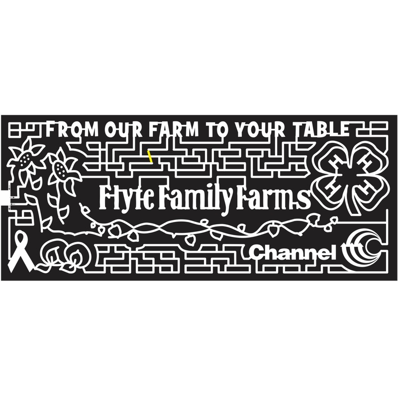 14_WI_Coloma 2014 Wisconsin 4h education sunflower flower clearchannel logo sponsor vine ribbon.JPG