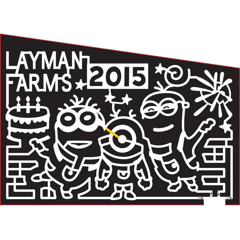 15_VA_Roanoke 2015, Virginia, Roanoke, Layman Farms, Minion, Minions, Birthday Cake, star, stars, fireworks, despicable me, movie